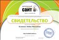 Свидетельство участник пректа "Школьный сайт", ведёт сайт 